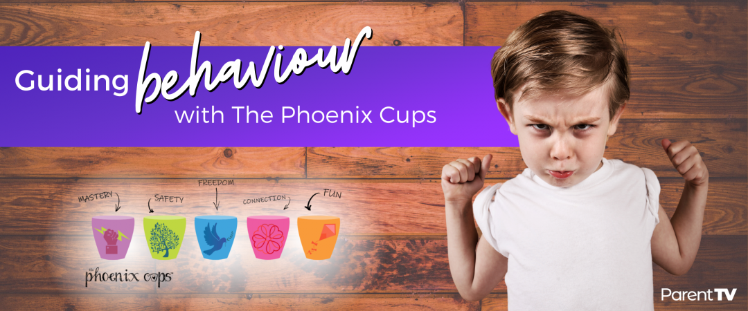 Guiding Behaviour with The Phoenix Cups - Sandi Phoenix